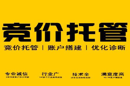百度SEO推广公司案例精选：揭秘优化策略